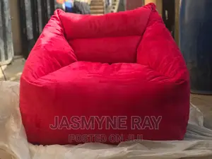 Comfy Exotic Bean Bag Sofa