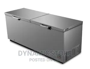 Hisense Fc91dd 702l Chest Freezer Double Door