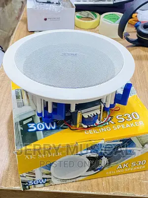 Original Voltage 30watts Ceiling Speakers