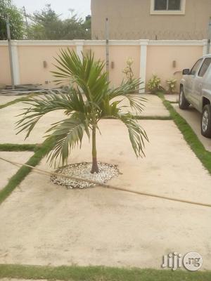 Success Flowers Lanscaping