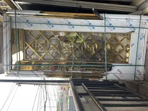 7ft by 3ft Antitrust German Gold Ring Double Glass Door