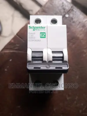 Original 63a 2pole Schneider Breaker