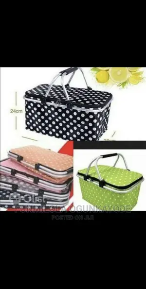 Foldable Shopping/Insulated Picnic Bag