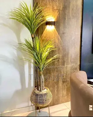 Yucca Plant With Rattan Basket