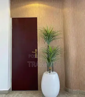 Yucca Plant With Fiberglass Pot