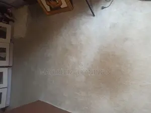 Superb Carpet Rug Cleaning+
