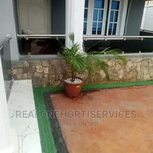 Flower, Palm For Home, Office, Malls, Hotels, School's Beaut