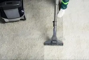 Carpet Rug Cleaning--