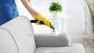 Couch, Carpet, House Cleaning-