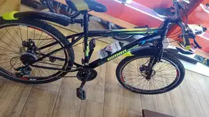 Philip's Sport Bicycle