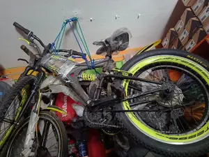 Double Shock Bicycle