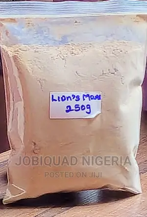 Lion Mane Organic Extract Powder 250g, Antioxidant,Adaptogen