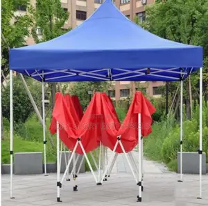 Foldable Canopy-10 by 10without Side Cover (Call)