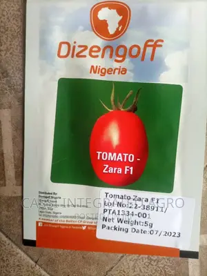 Zara F1 Tomato Seeds 10g