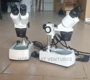 Binocular Stereo Microscope (Paleontological) (2x/4x)