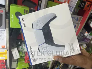 PS5 Game Pad