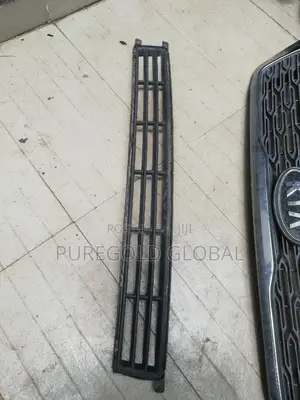 Lower Grille for Kia Sedona 2010