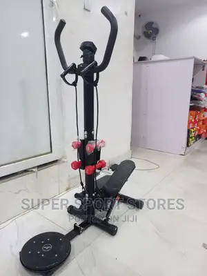 Standing Stepper With Twister