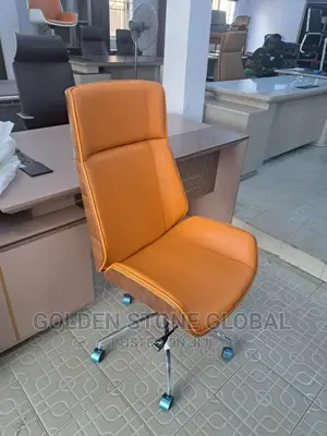 Executive Director Office Chair.