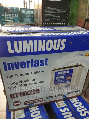 Luminous Tall Tubular Inverter Battery