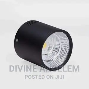 Down Panel Light