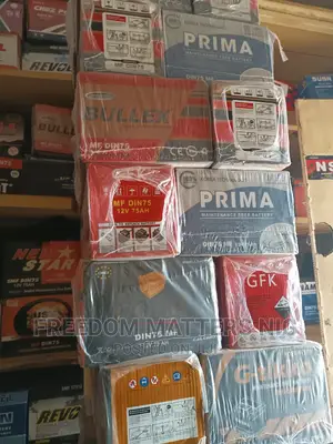 Original Car Battery With Warranty
