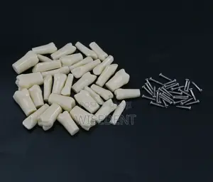 Frasaco Jaw Model and Teeth