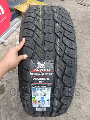 265/60/18 Tires