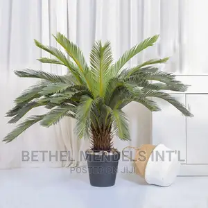 Artificial Plants | Wholesales of Fake 90cm Cycas Palms