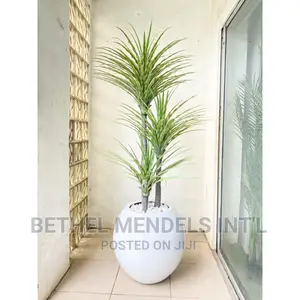 Artificial Yucca Plants and Fiberglass Flower Pot/Vase