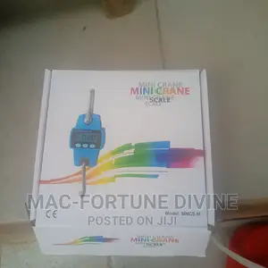 Mini Crane Scale