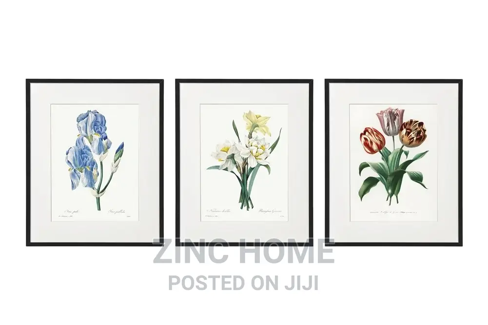 Framed Flower Bulbs