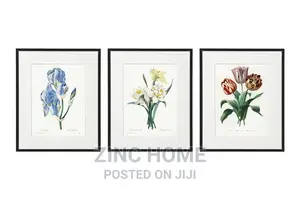 Framed Flower Bulbs