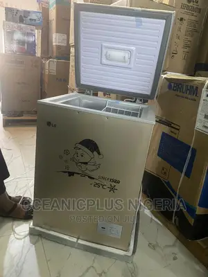 Standard Quality LG Gc-160 | 100 Litres Chest Freezer