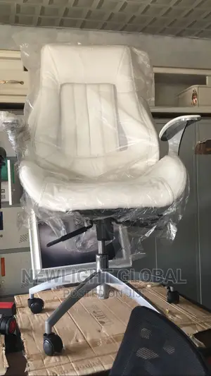 Office Expensive Chair