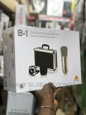 Behringer B-1 Studio Condenser Microphone