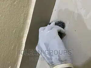 Cleaning Services
