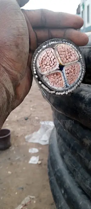 240mm 4core Nigerchin Armoured Cable 2