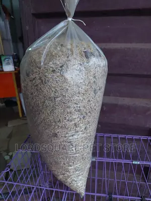 Mixed Indomie for Dogs