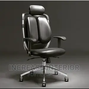 Executive Officechair With Lumbar Support and Adjusted Hand