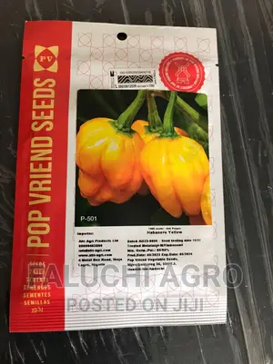 Hybrid Hot Yellow Pepper Seed ( Yellow Habanero 1000 Seed)