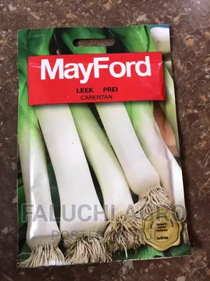 Leek Seed ( Mayford)