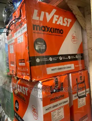 230ah Livfast Maxximo Tall Tubular Solar Battery