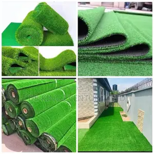 Best Quality Synthetic Artificial Grass /PAYMENT ON DELIVERY