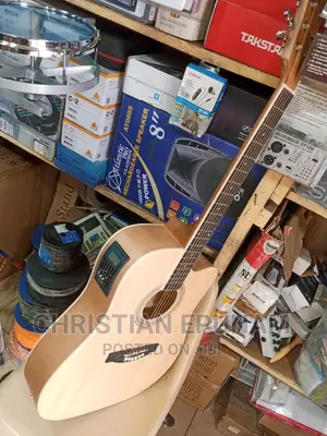 Semi Acoustic Guitar