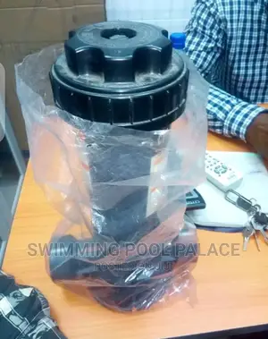 Chlorine Dispenser for Swimming Pool