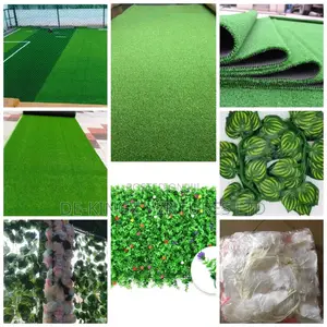 Beautiful Carpet Grass Dropping Flowers/Payment ON DELIVERY