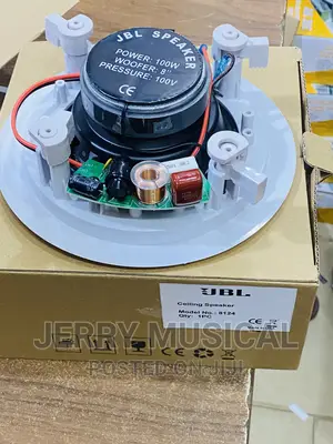 Original Pop/Ceiling Speakers JBL