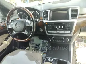 Mercedes-Benz M Class 2015 Gray