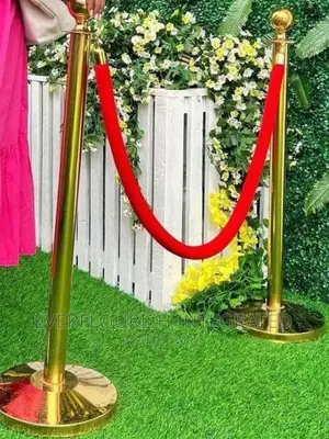 Stanchion Queue Barrier Control